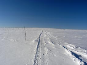 Дорога к полюсу. Фото Данько В.Ю.